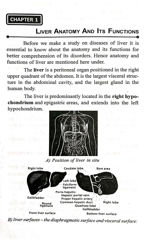 Diseases of Liver & Ayurvedic treatment